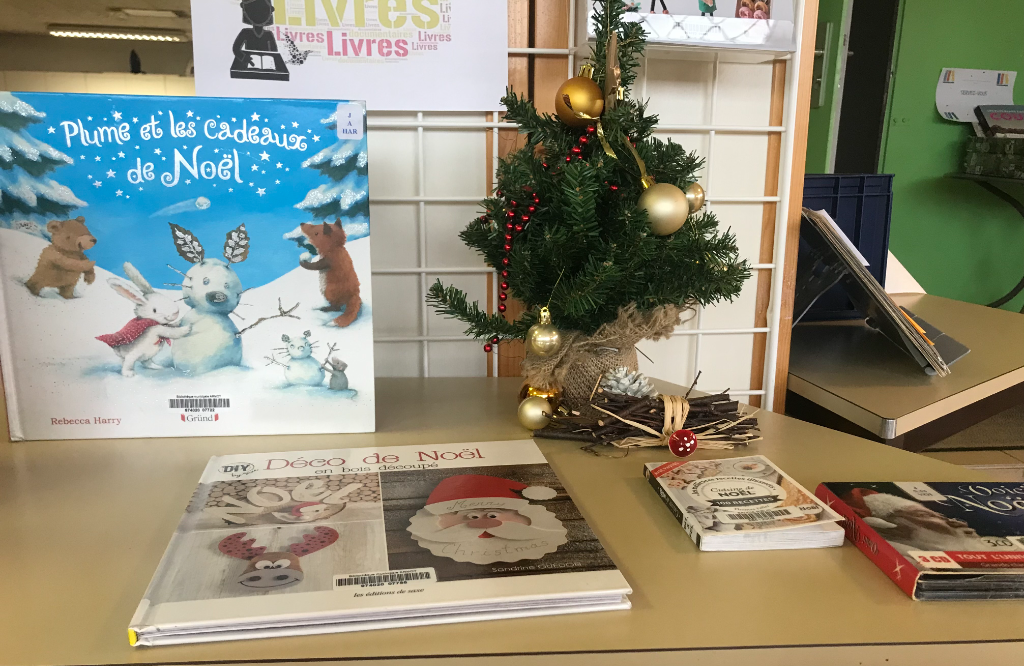 Couverture de Bibliothèque Armoy